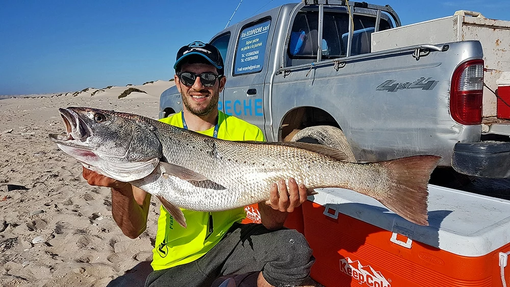 Pêche sportive à Dakhla